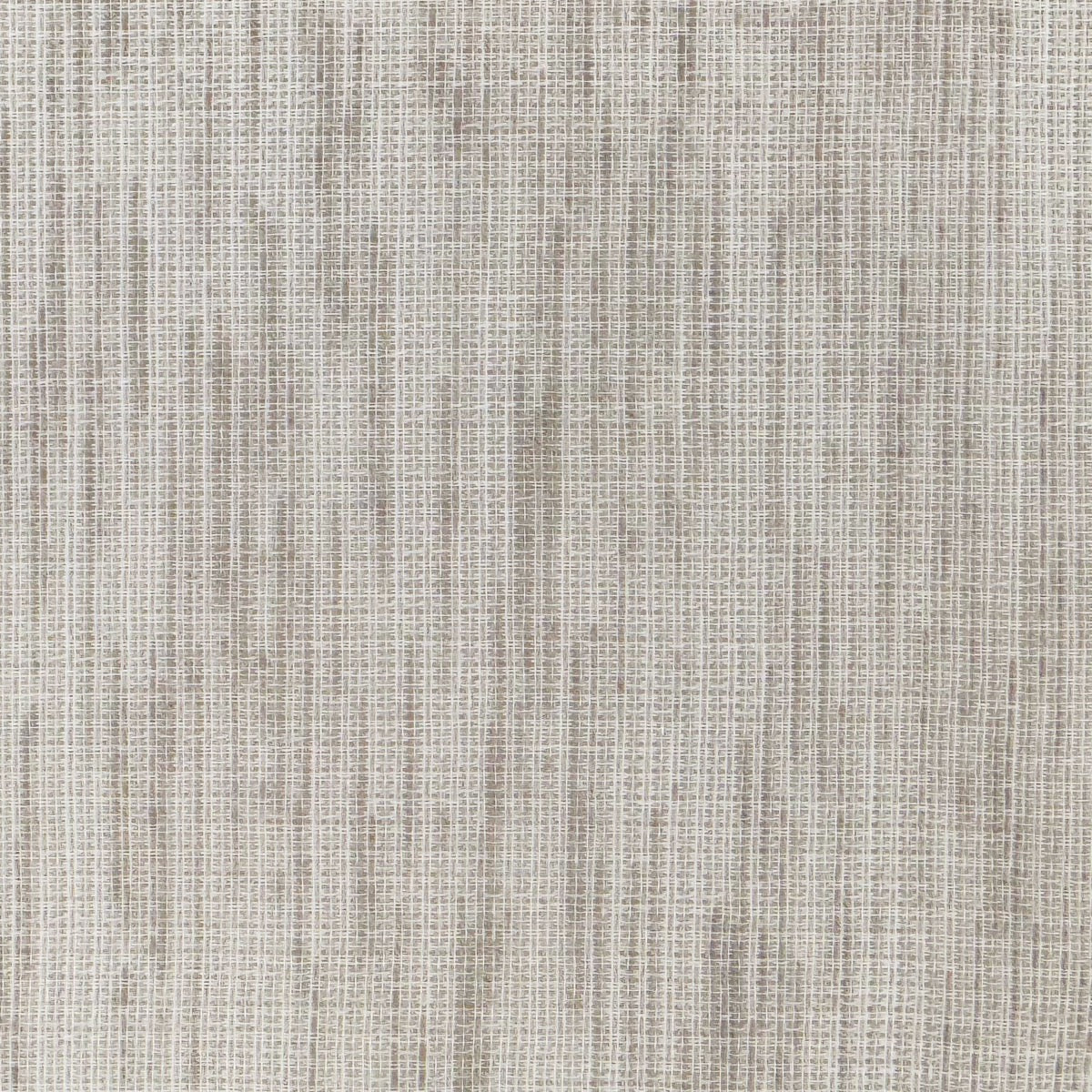 Jones Transparenté Woven Sheer Fabric (per metre)